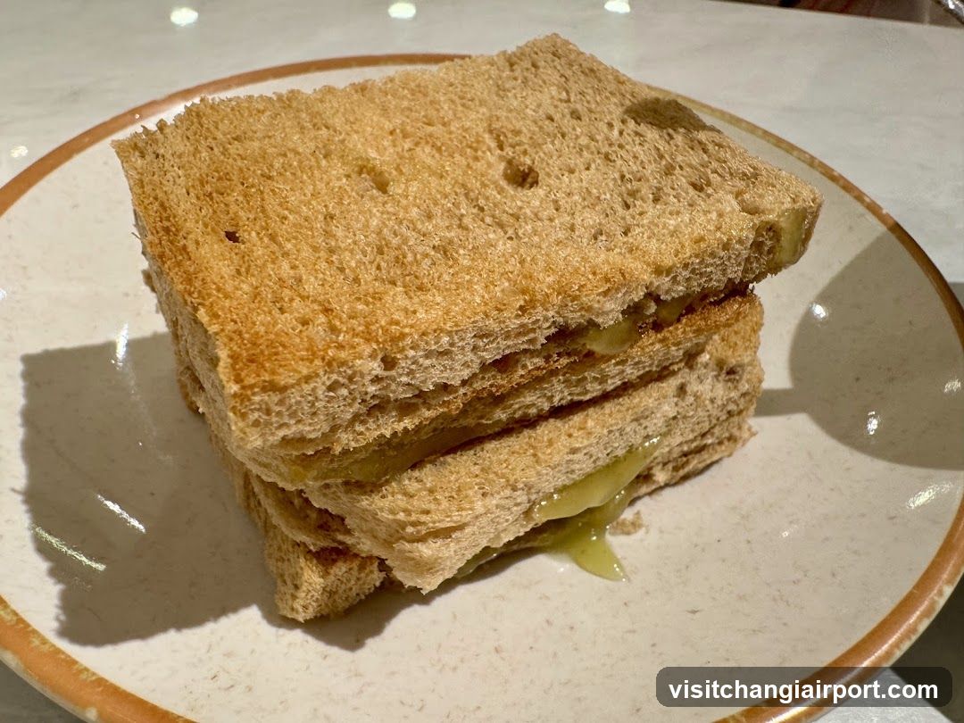 Toasted Sandwich with Melted Cheese