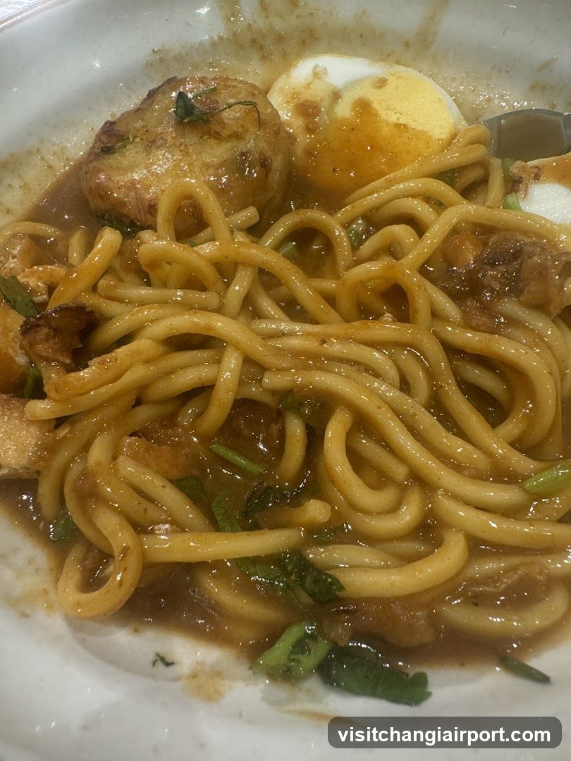 Noodle Dish with Egg and Meatballs