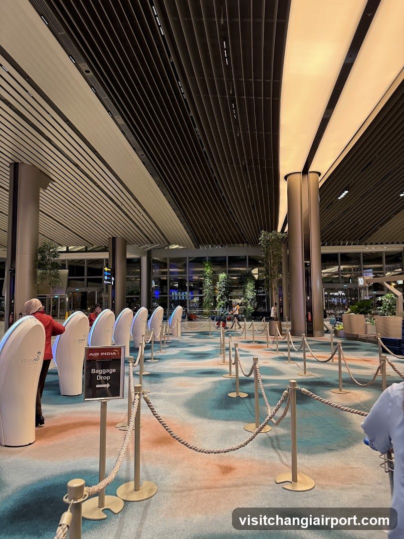 Airport Baggage Drop Area