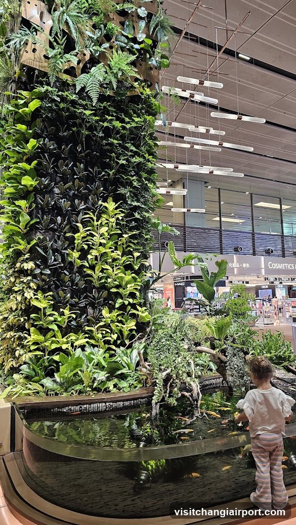 Indoor Garden with Fish Pond