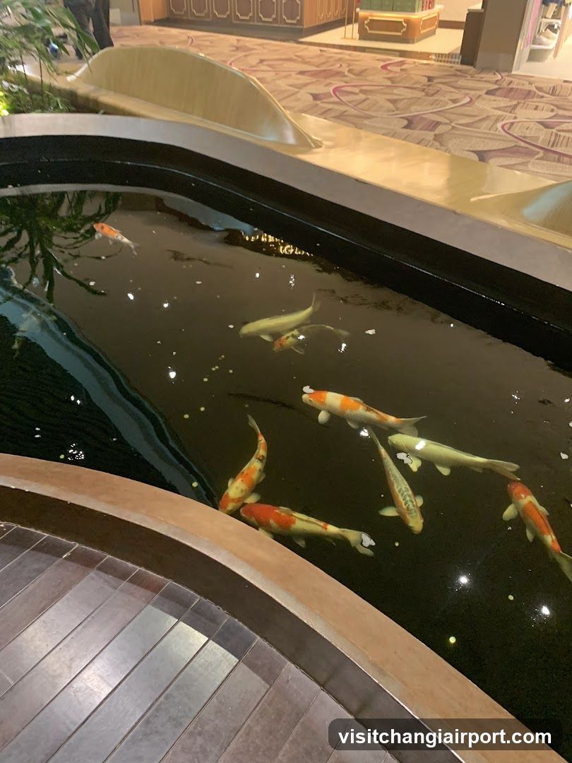 Koi Pond in Hotel Lobby
