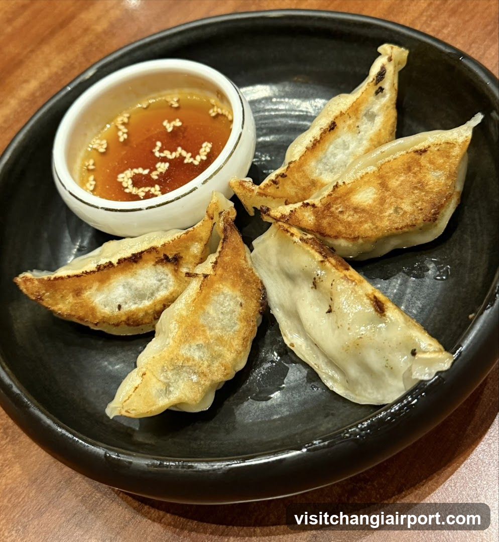 Gyoza with dipping sauce