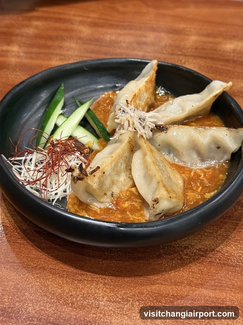 Gyoza with Broth and Garnish