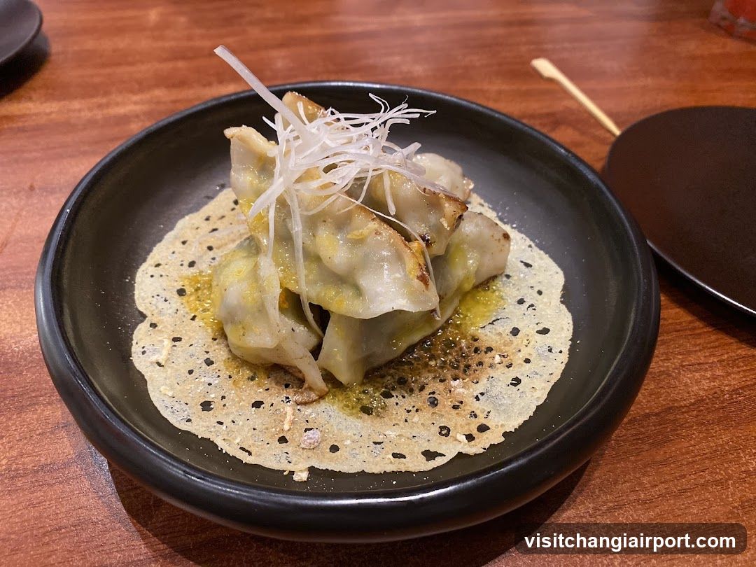 Gyoza with garnish on a black plate