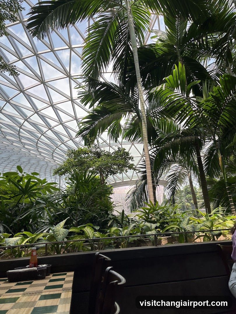 Indoor Tropical Garden View