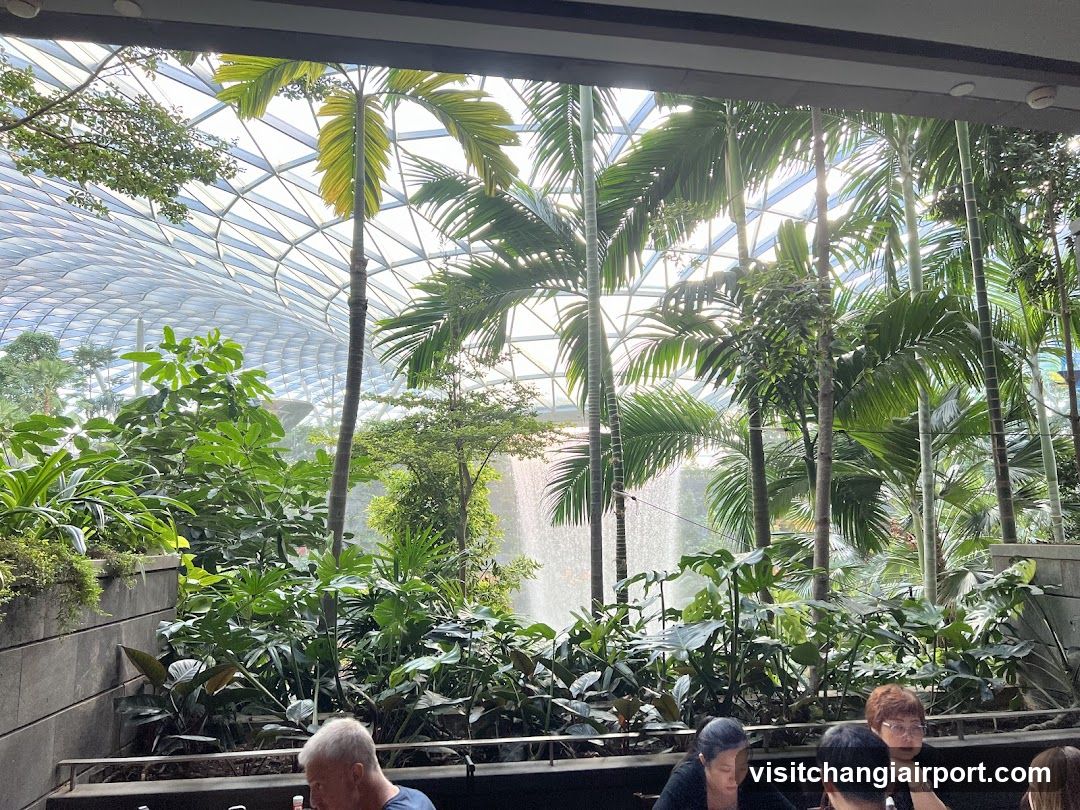 Indoor Garden View from Restaurant