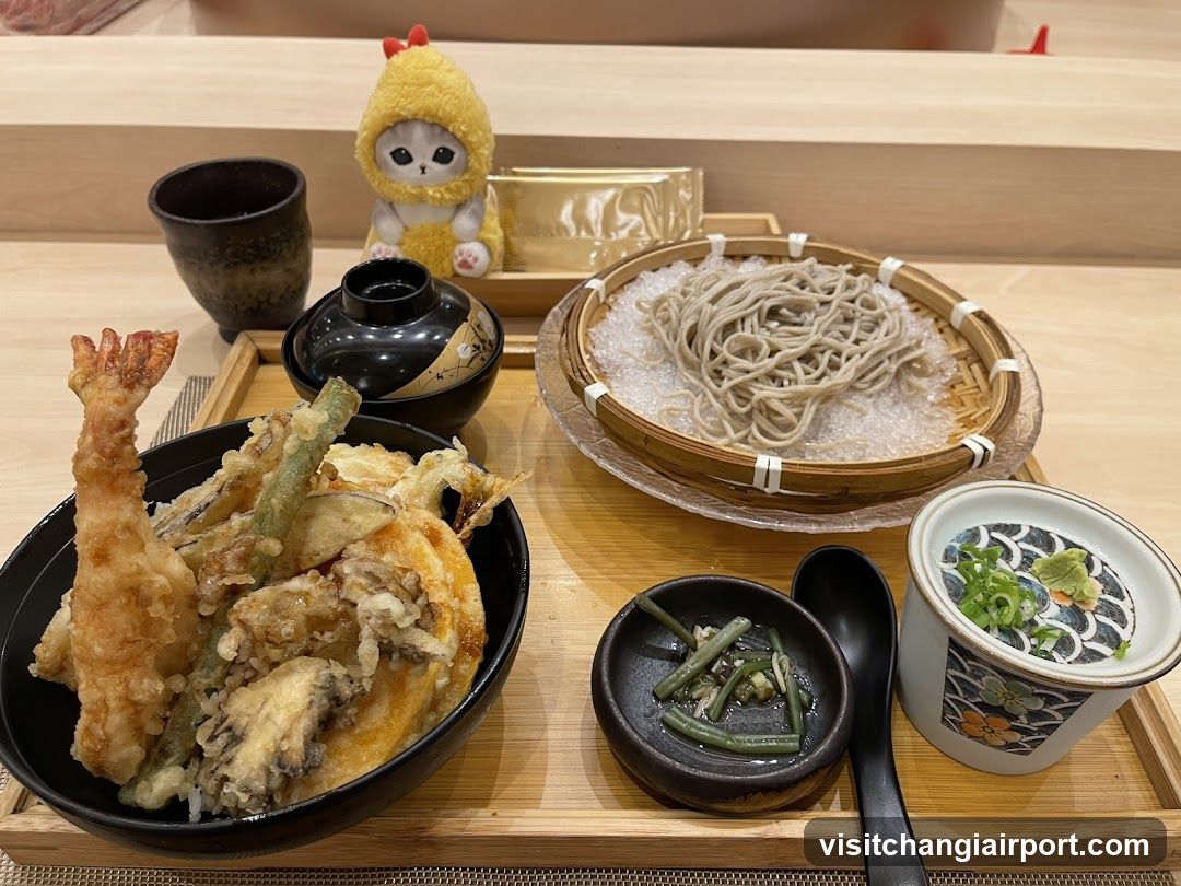 Soba Meal with Tempura