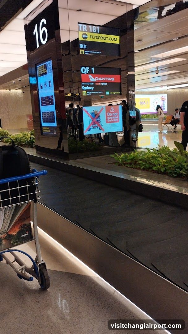 Interior view of an airport baggage claim hall, showing a conveyor belt with luggage carts nearby. Digital screens display flight information including Qantas to Sydney and FlyScoot to Nanjing. A safety sign warns against overloading the trolley. Greenery lines the walkway.