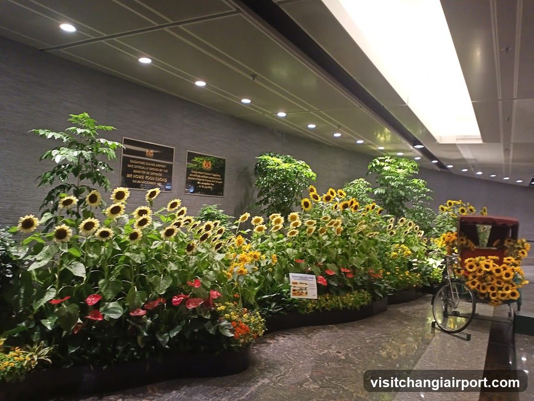 Indoor floral display featuring sunflowers, red anthuriums, and greenery arranged in long planters along a polished floor corridor. A rickshaw decorated with flowers is positioned to the right. Two informational plaques mounted on the wall provide details about the exhibit.