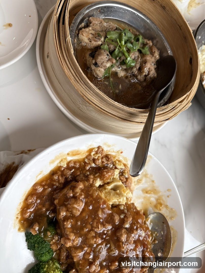 Dish with Sauce and Steamed Meat