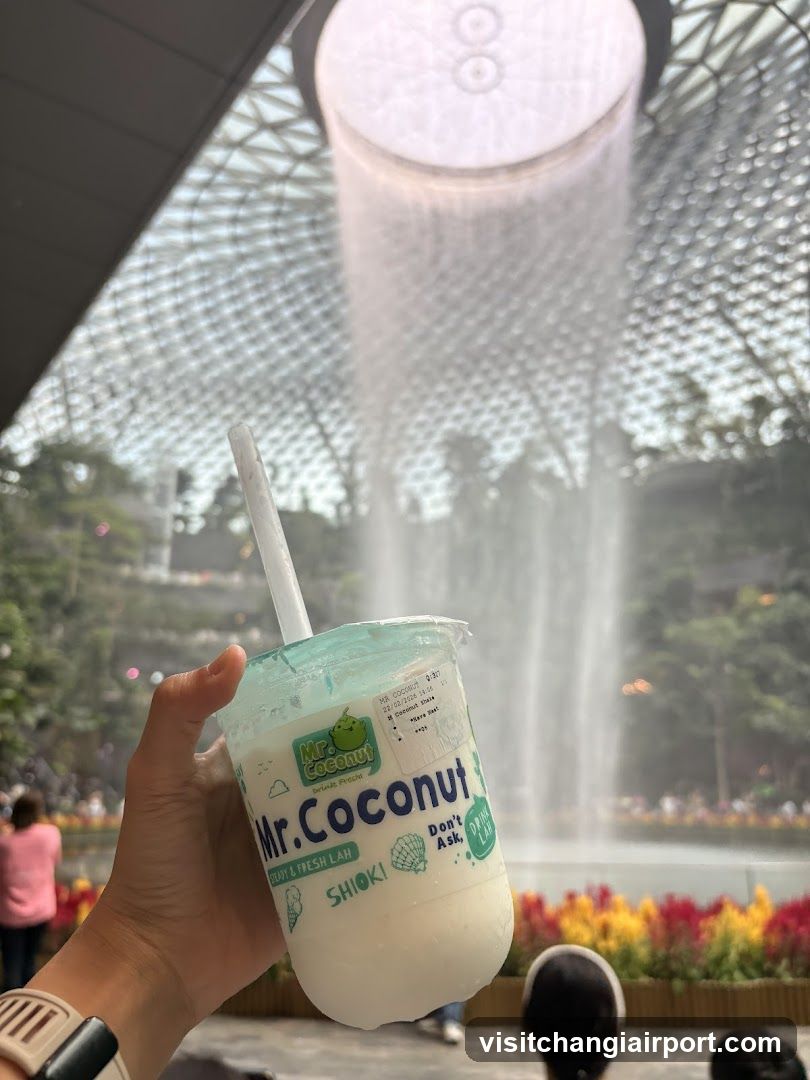 Mr Coconut (Jewel Changi Airport)