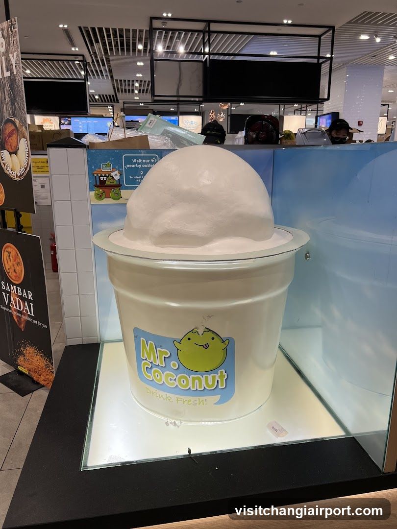Mr Coconut Display
