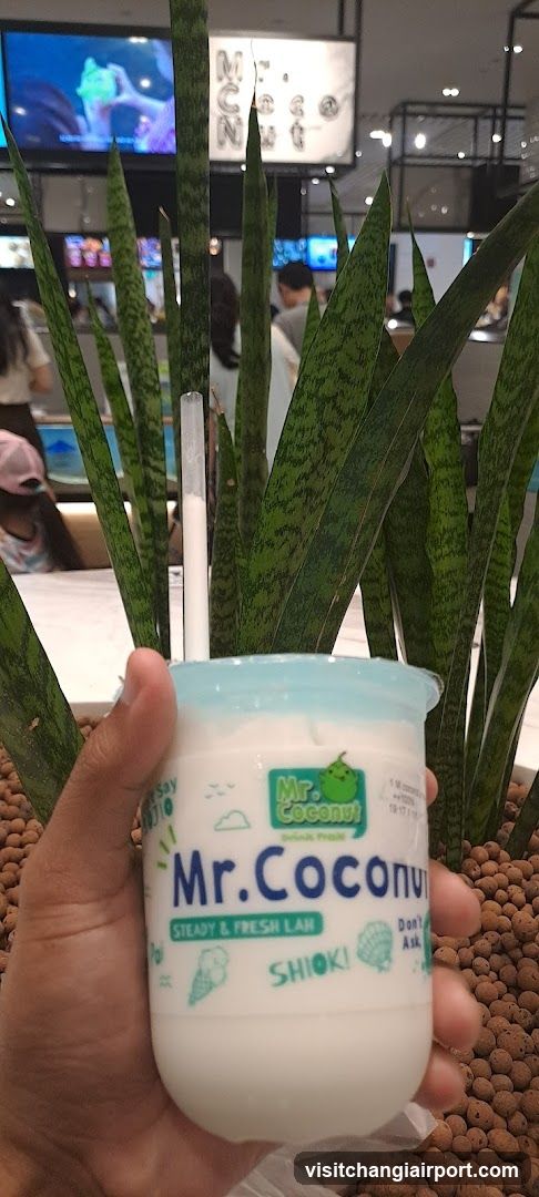 Mr. Coconut Drink