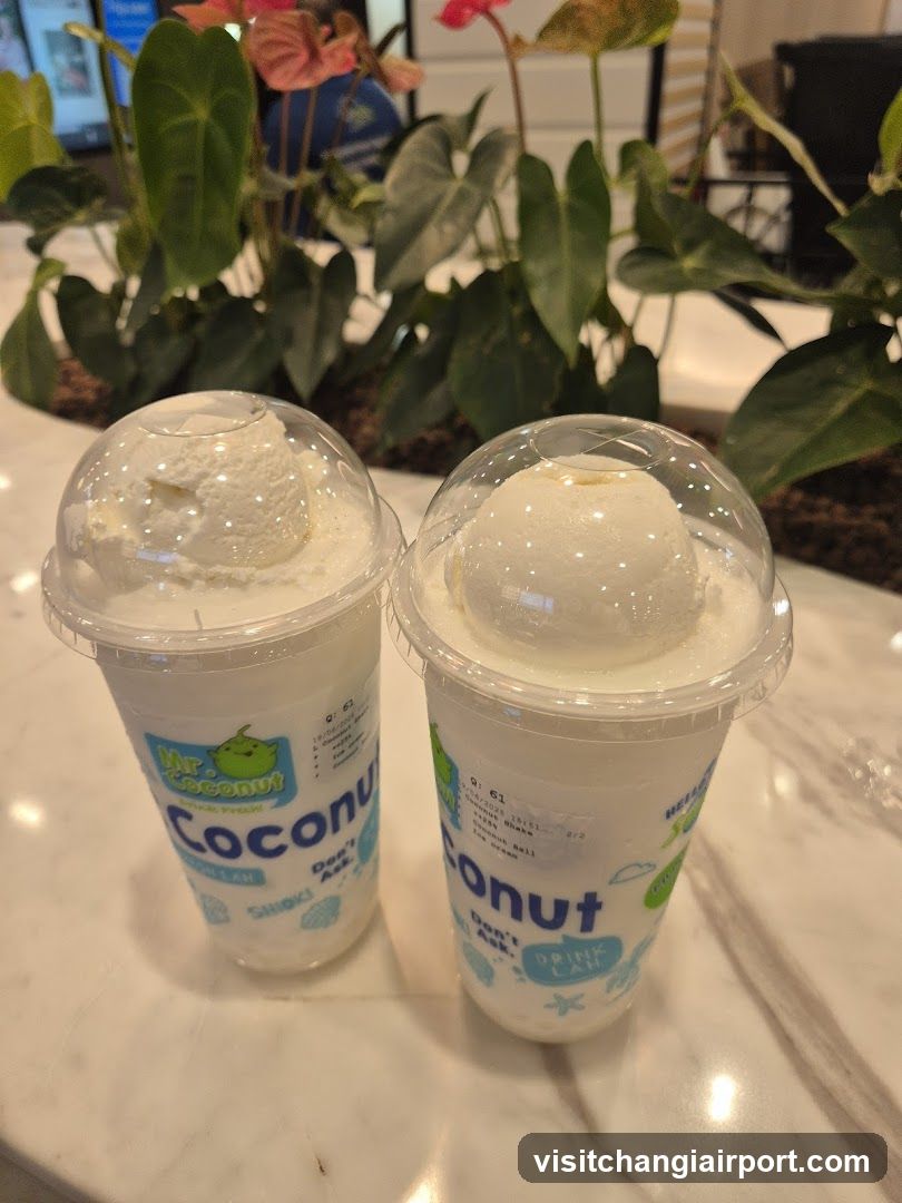 Coconut Drinks with Ice Cream Toppings
