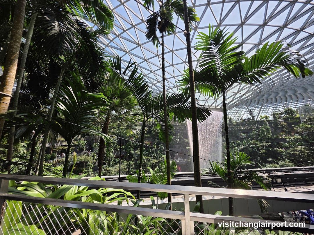 Indoor Tropical Garden with Waterfall