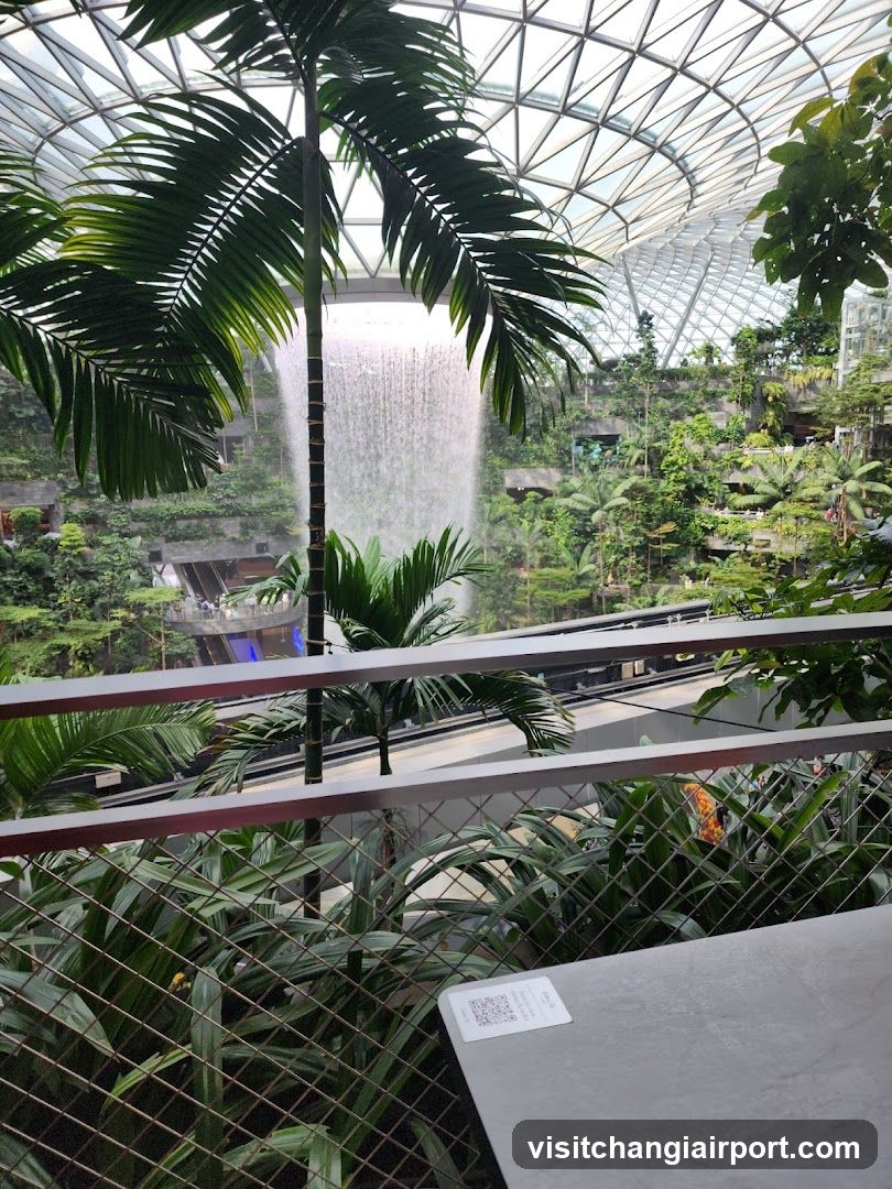 Indoor Garden View with Waterfall
