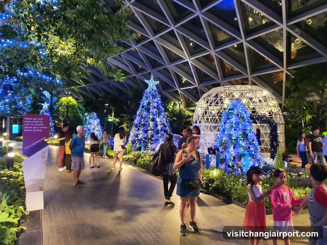Christmas Light Display at Gardens by the Bay