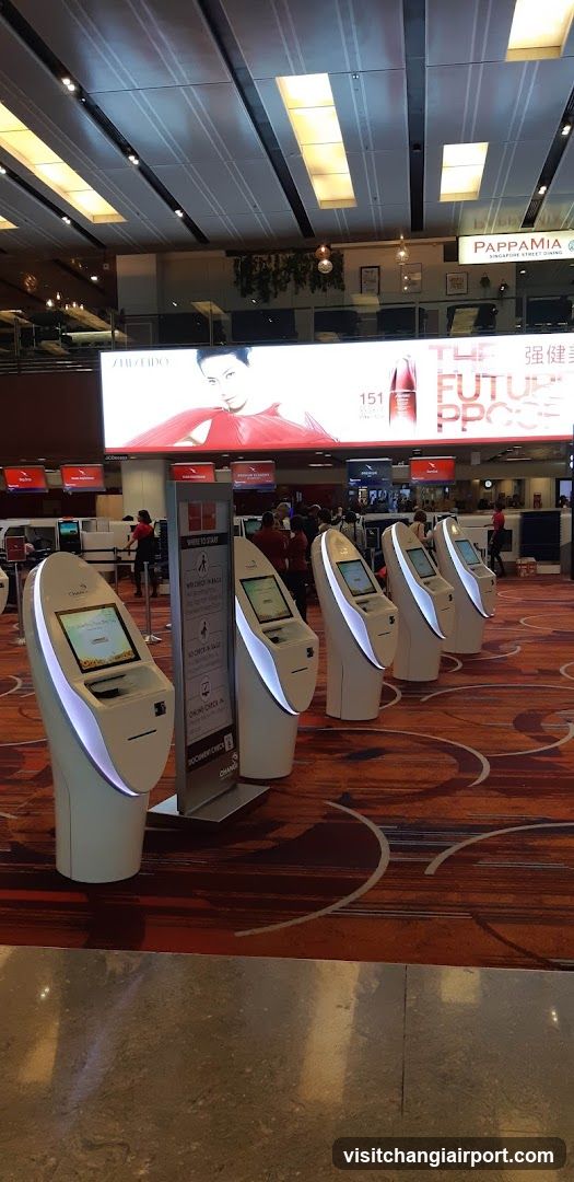 Airport Self-Service Kiosks and Advertising Display