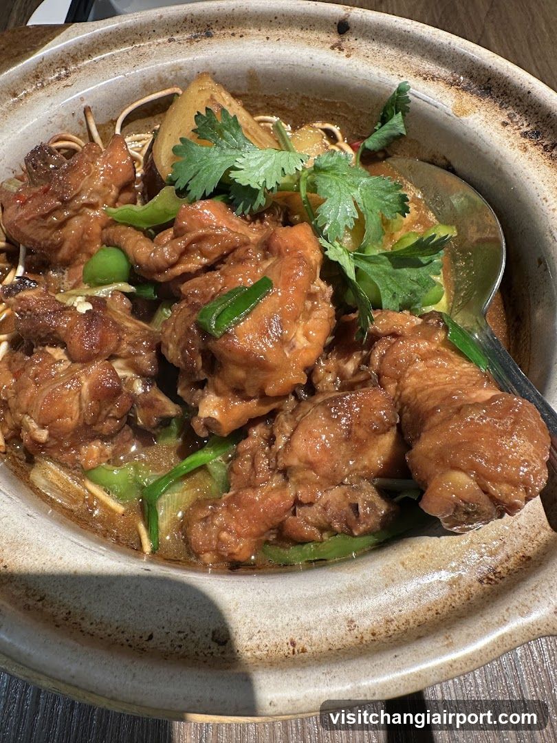 Savory Chicken Dish in Clay Pot