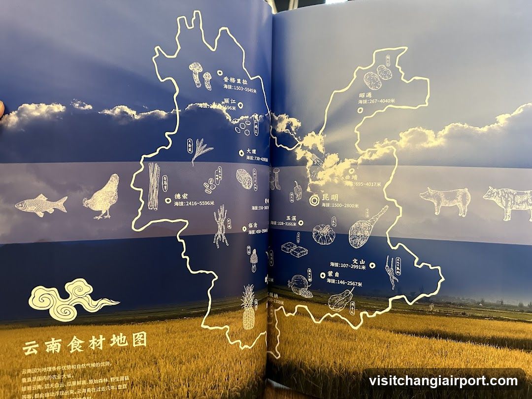 Yunnan Ingredients Map