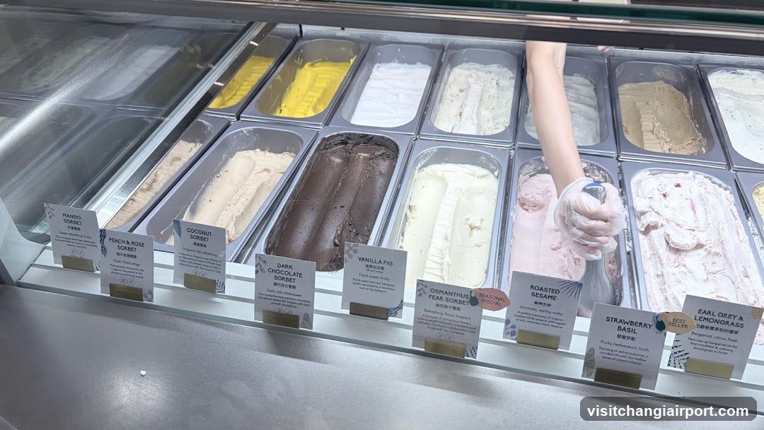 Gelato Display Case
