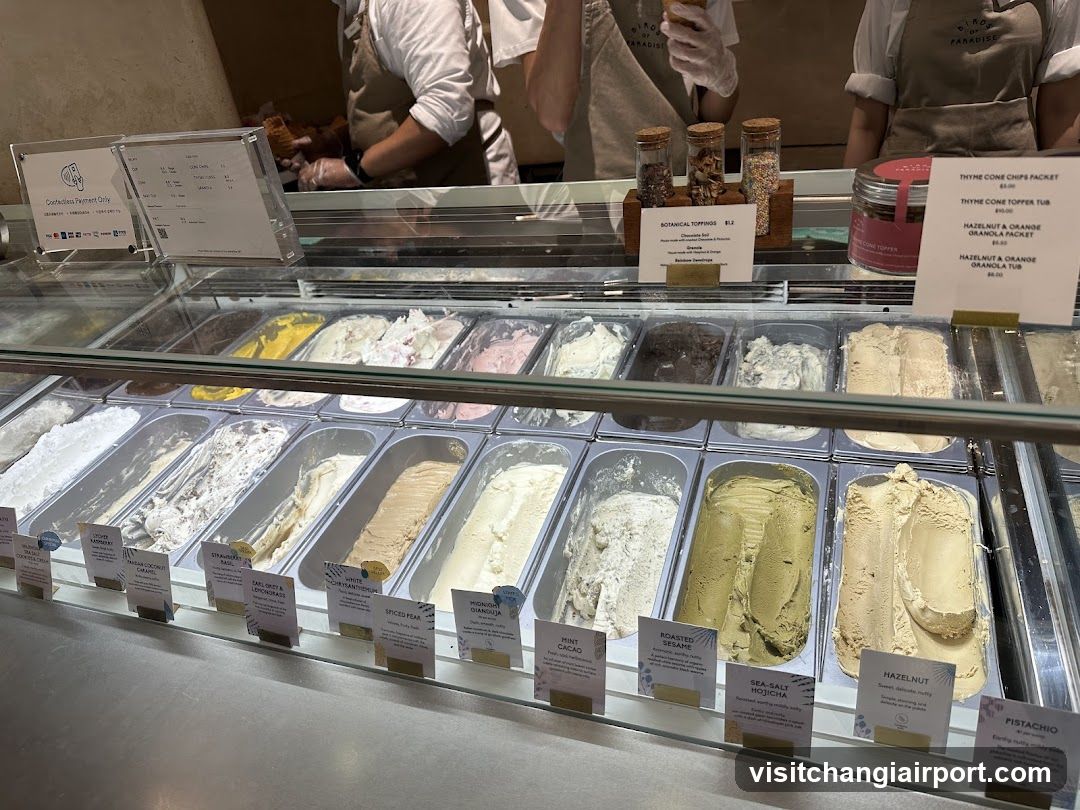Gelato Display Case
