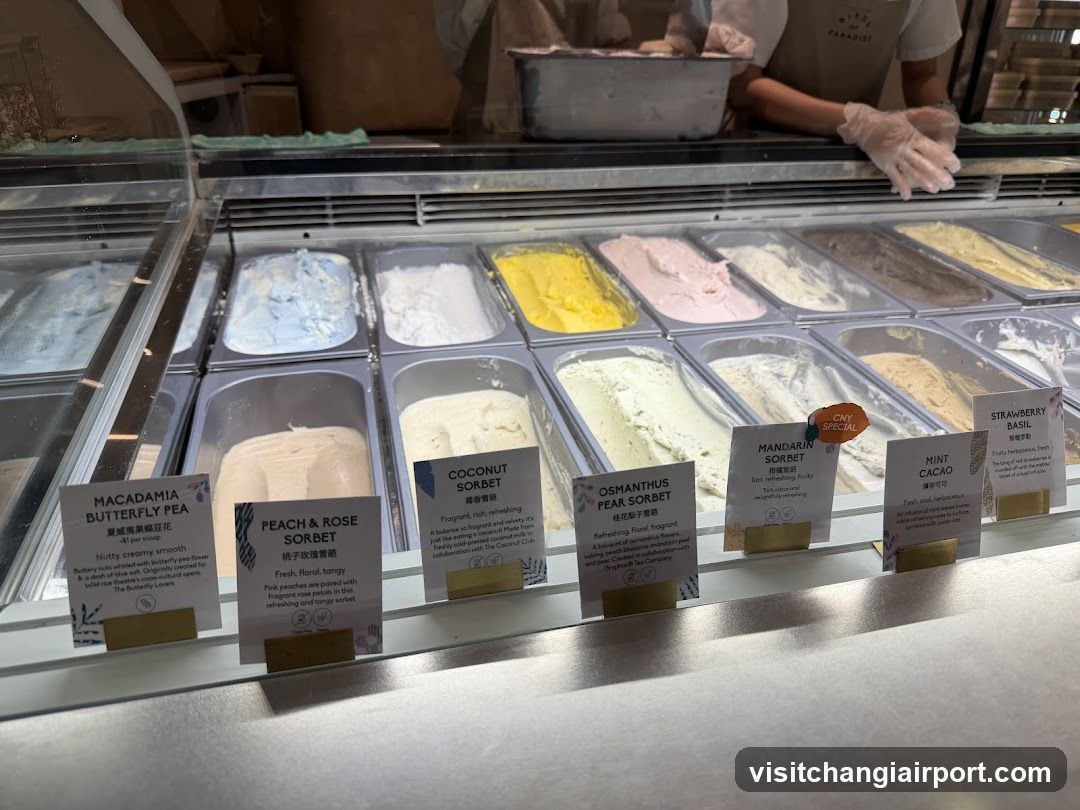 Sorbet Display Case