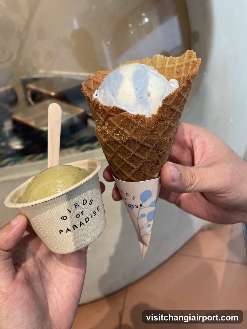 Ice Cream Treats