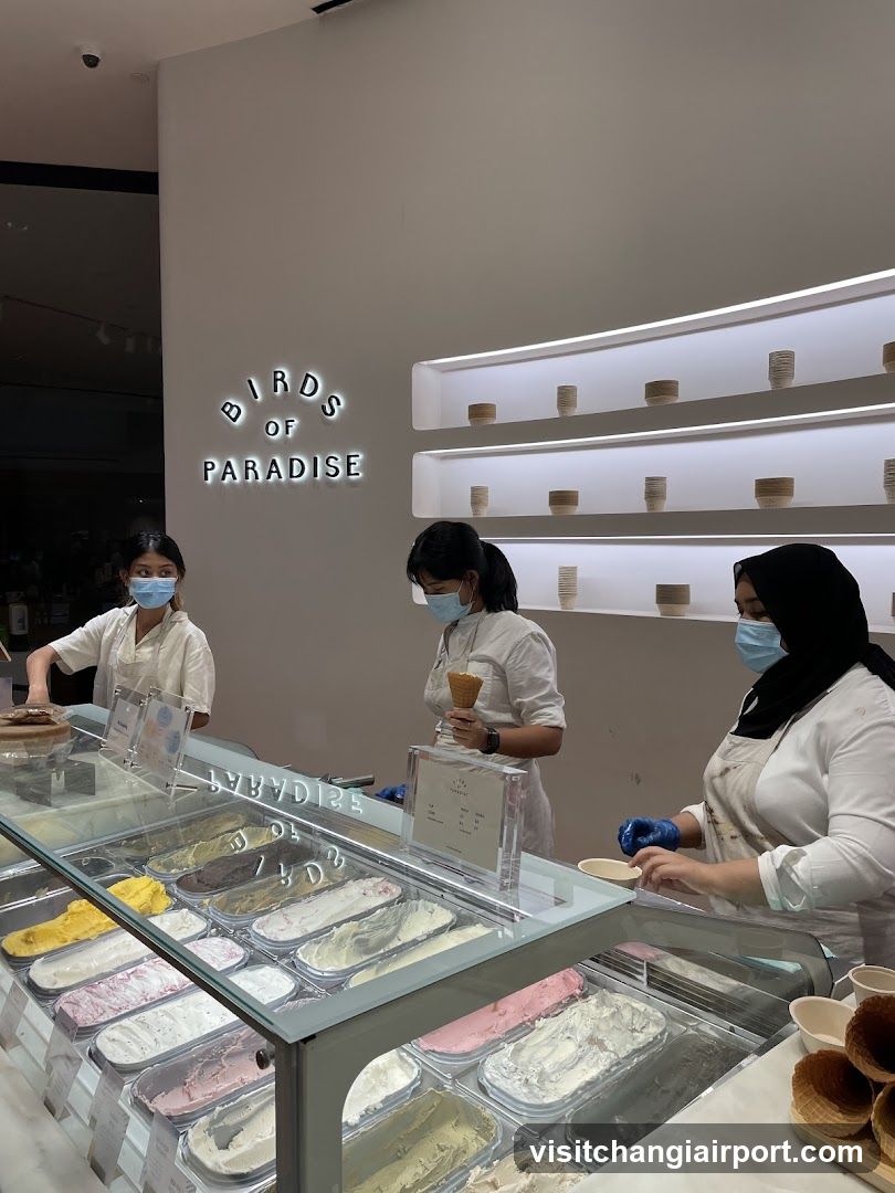 Birds of Paradise Ice Cream Shop Interior
