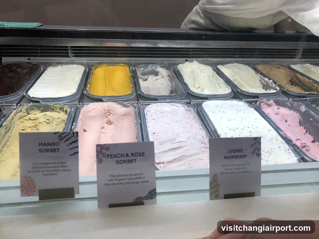 Ice Cream Display Case