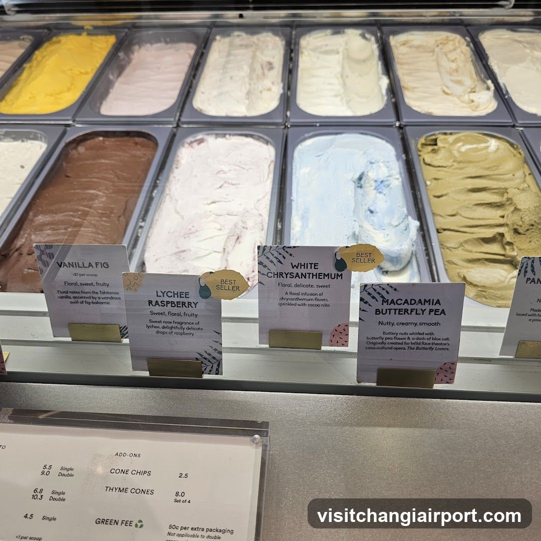 Gelato Display Case
