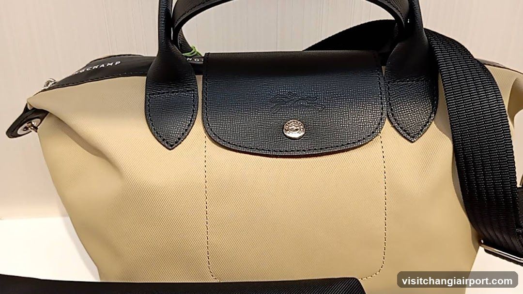 Longchamp bag close-up