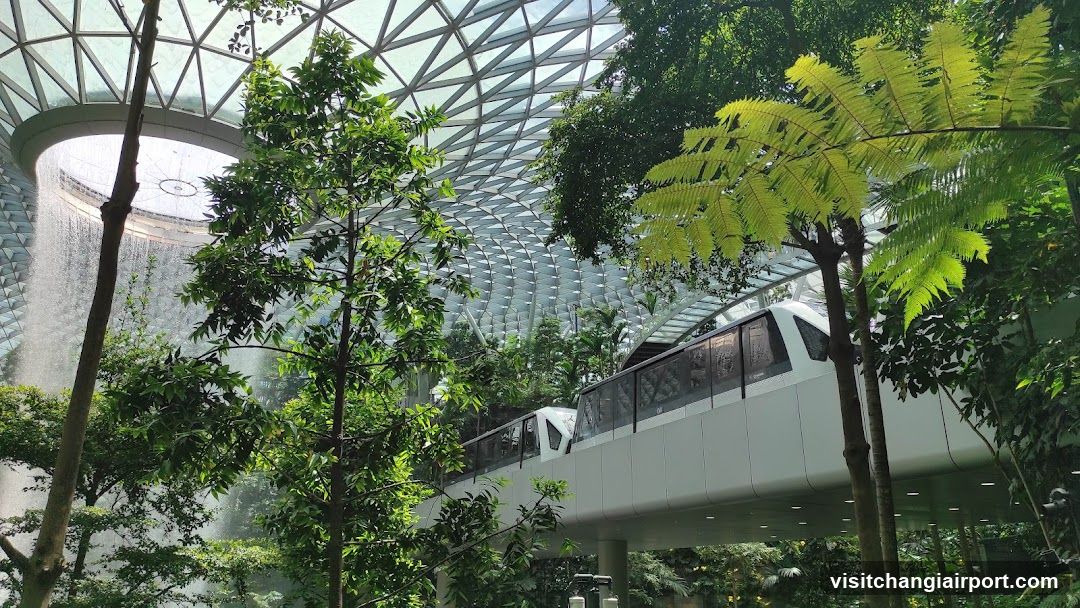 Indoor Garden with Monorail
