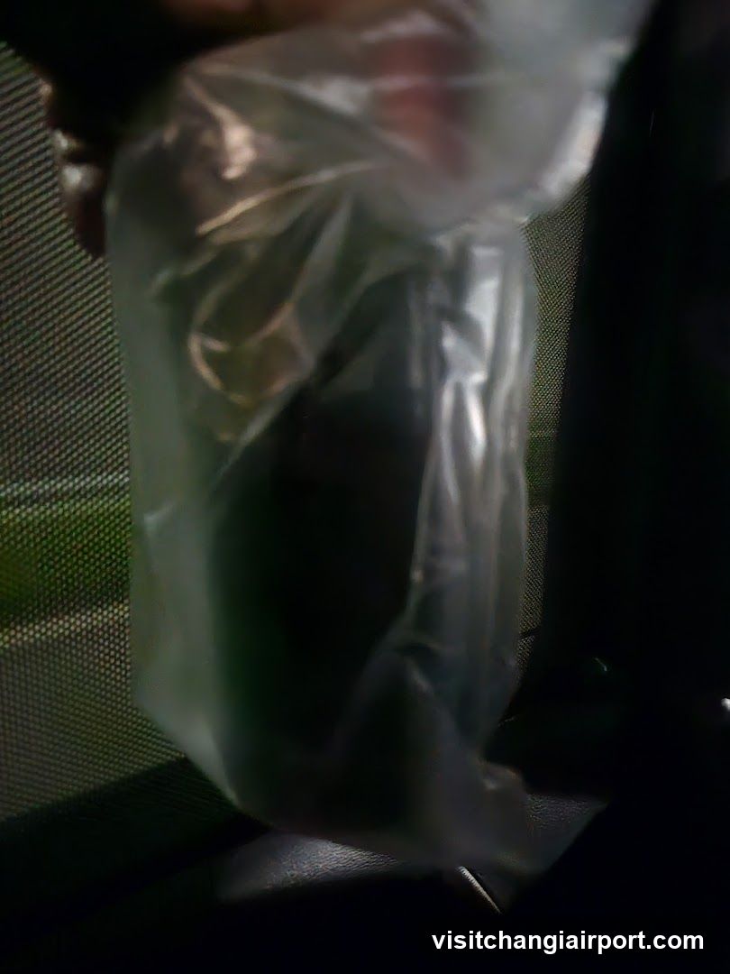 Plastic Bag with Green Item