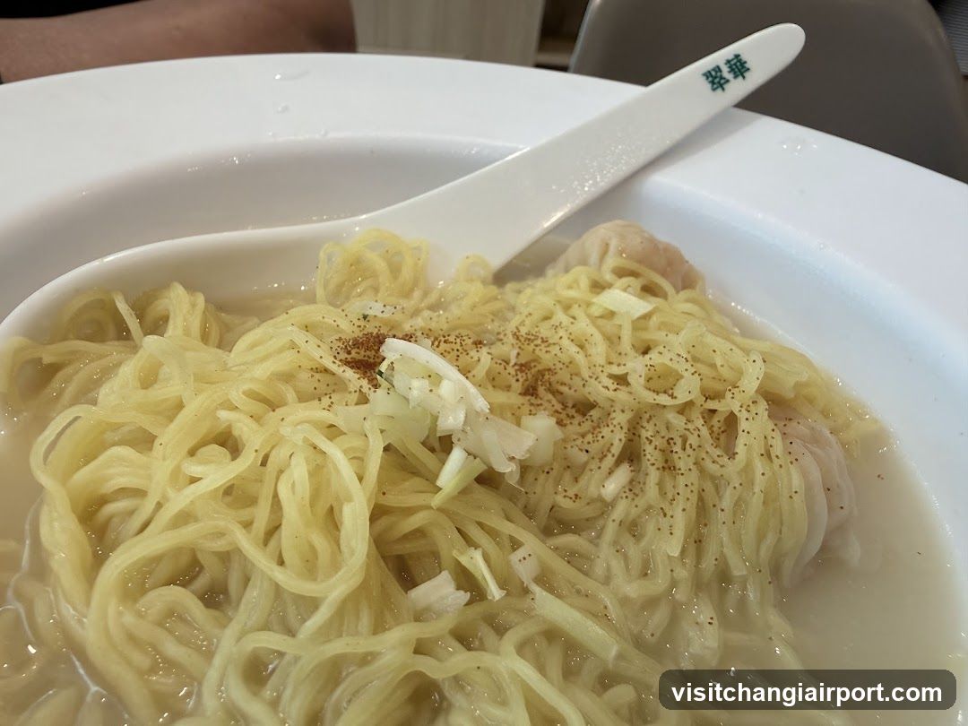Noodle Bowl with Garnish