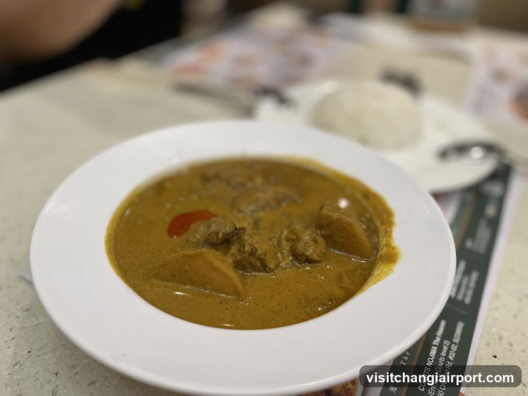 Curry Dish with Rice