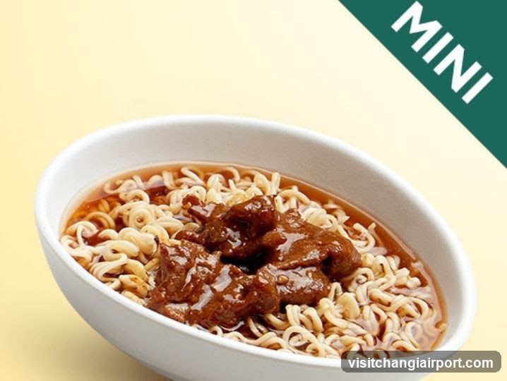 Mini Instant Noodles with Beef Broth