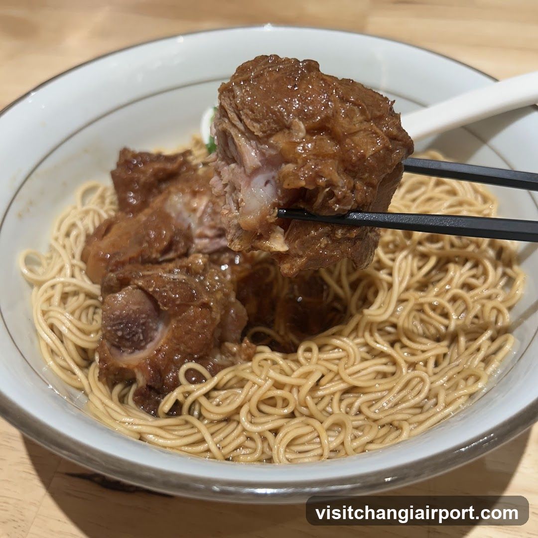 Braised Pork Noodles