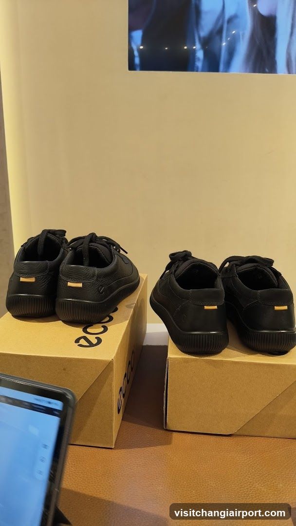 Ecco Shoes Display