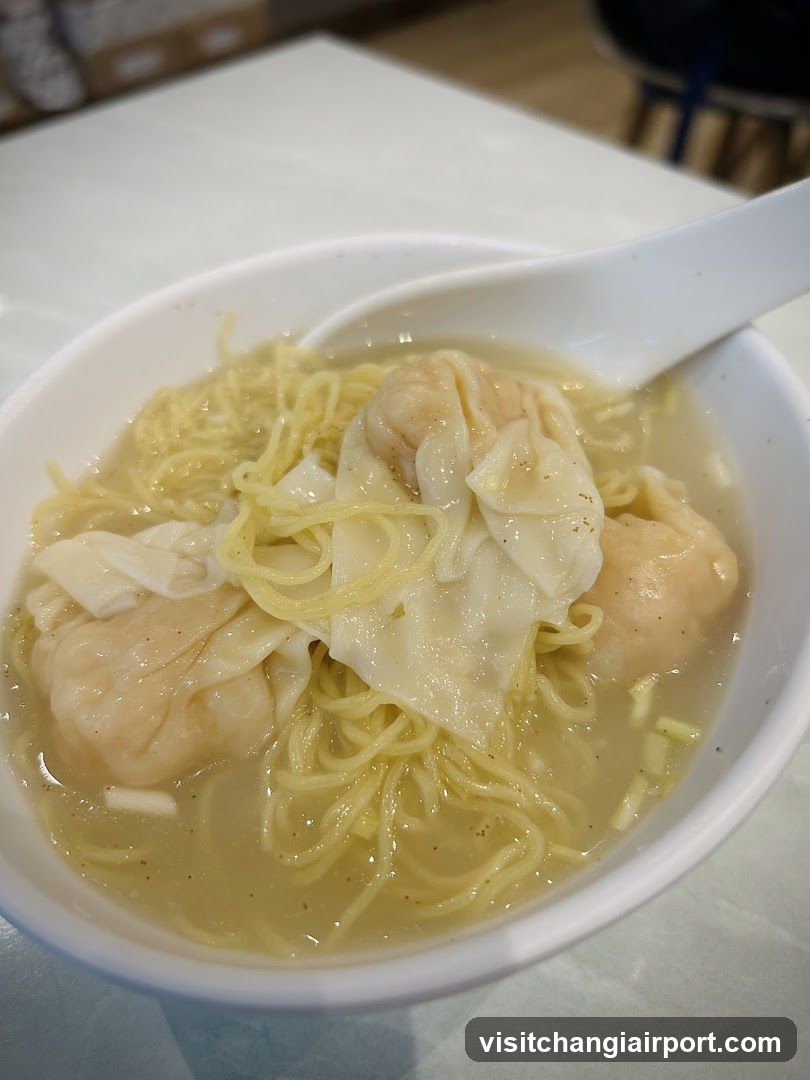 Wonton Noodle Soup Bowl