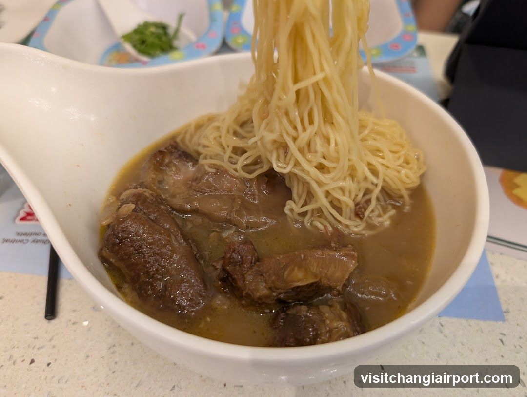 Bowl of Beef Noodles with Broth