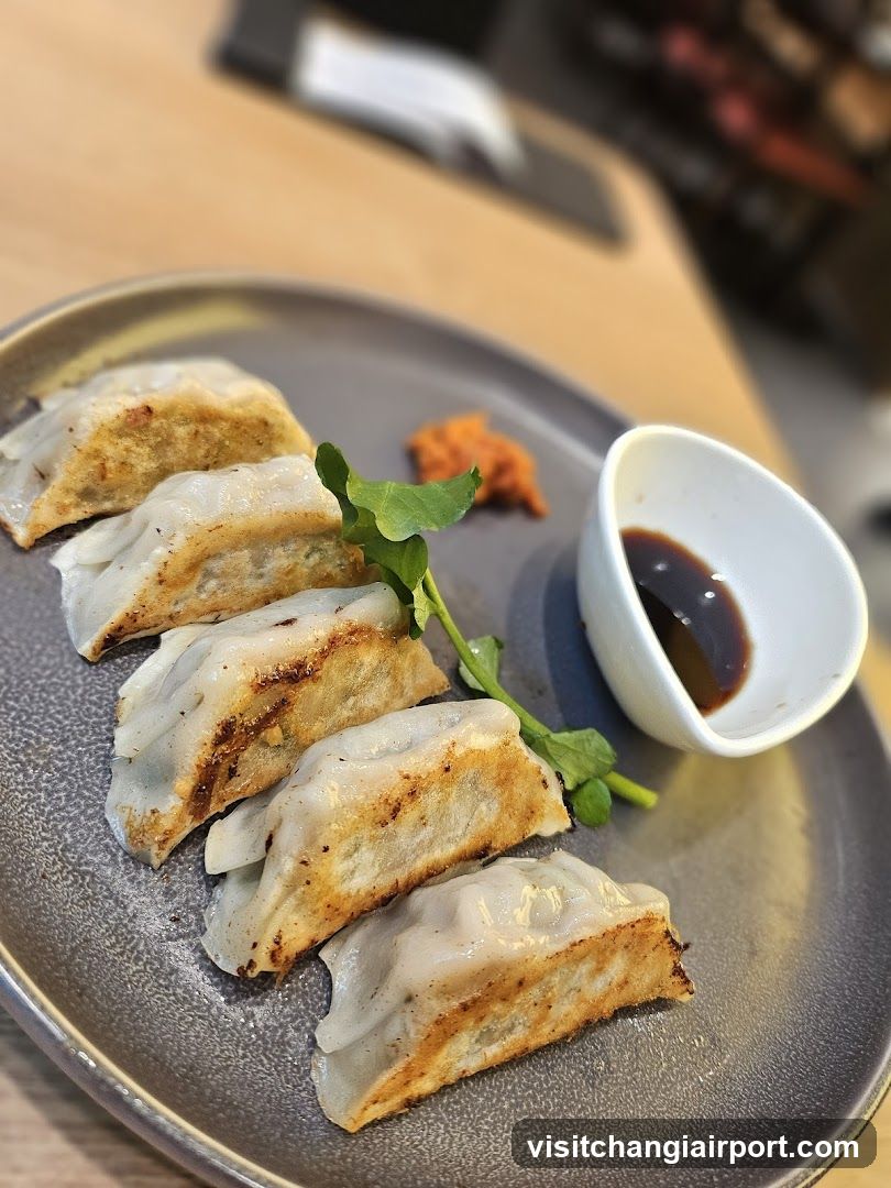Gyoza with dipping sauce