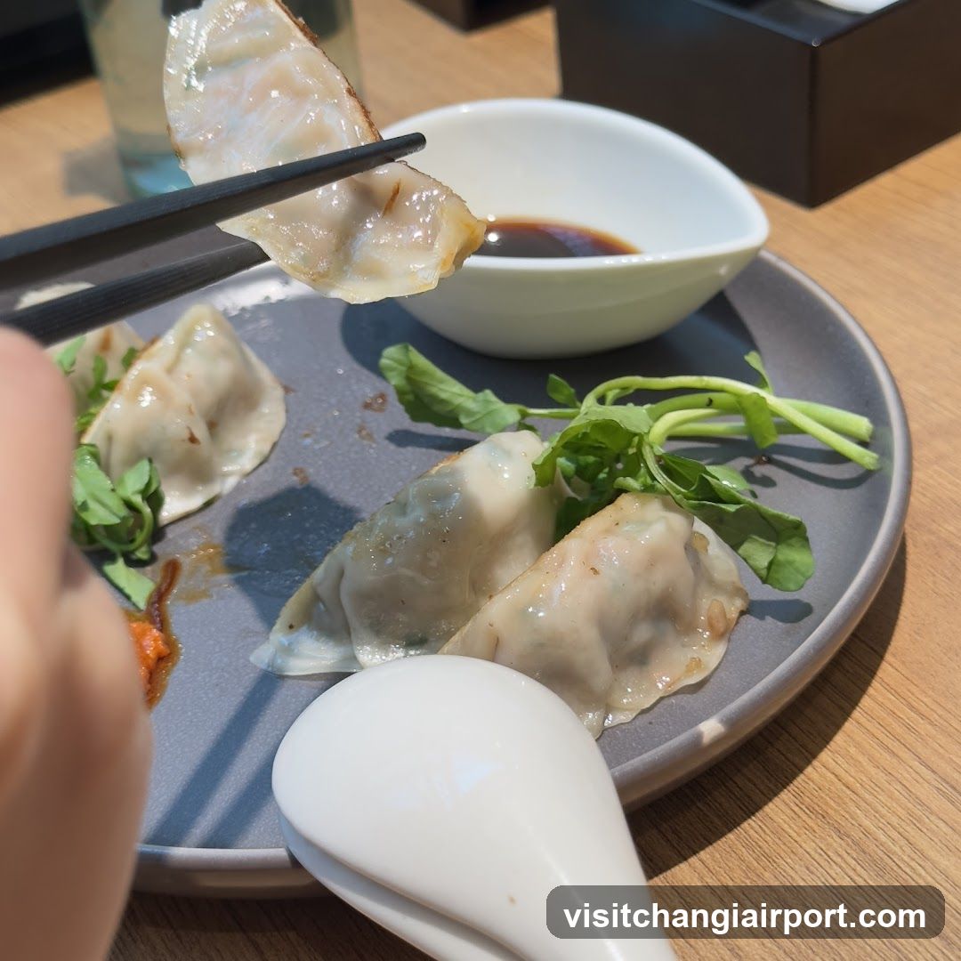 Dumplings with dipping sauce