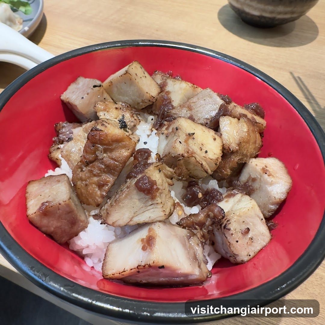 Braised Pork Rice Bowl