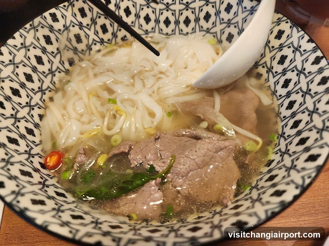 Bowl of Noodle Soup with Beef and Vegetables