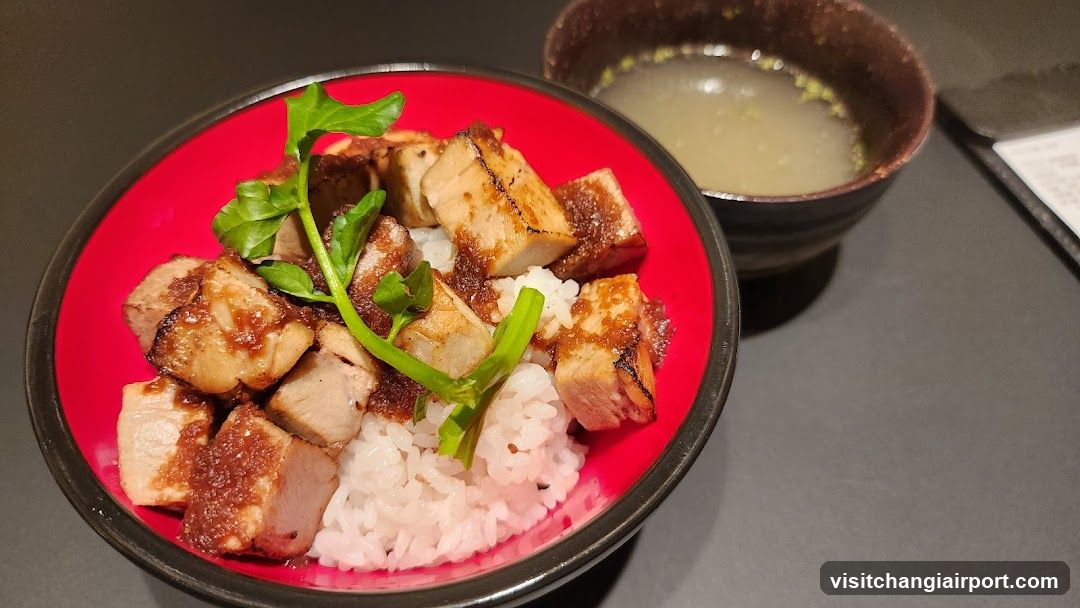 Grilled Pork Rice Bowl with Broth