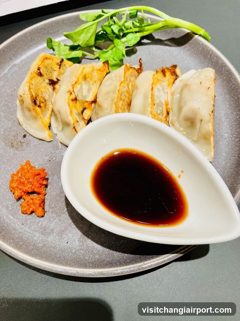 Gyoza with Sauce and Garnish