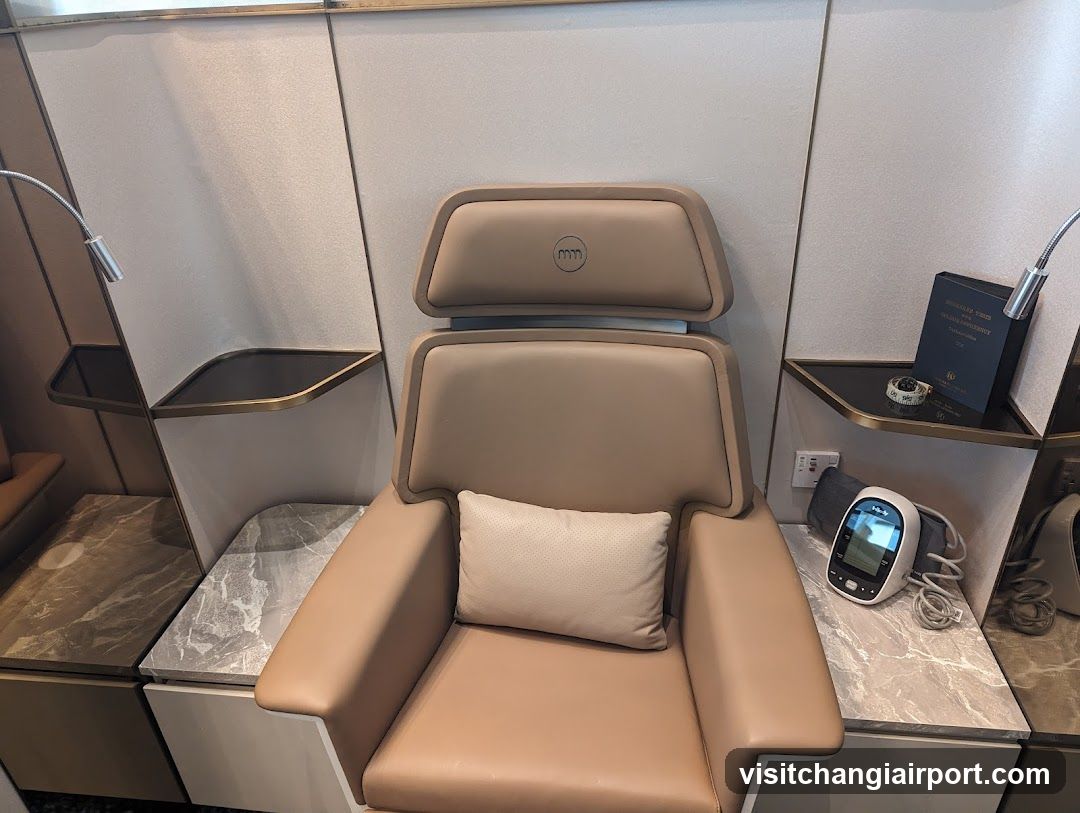 Luxury Lounge Chair Setup