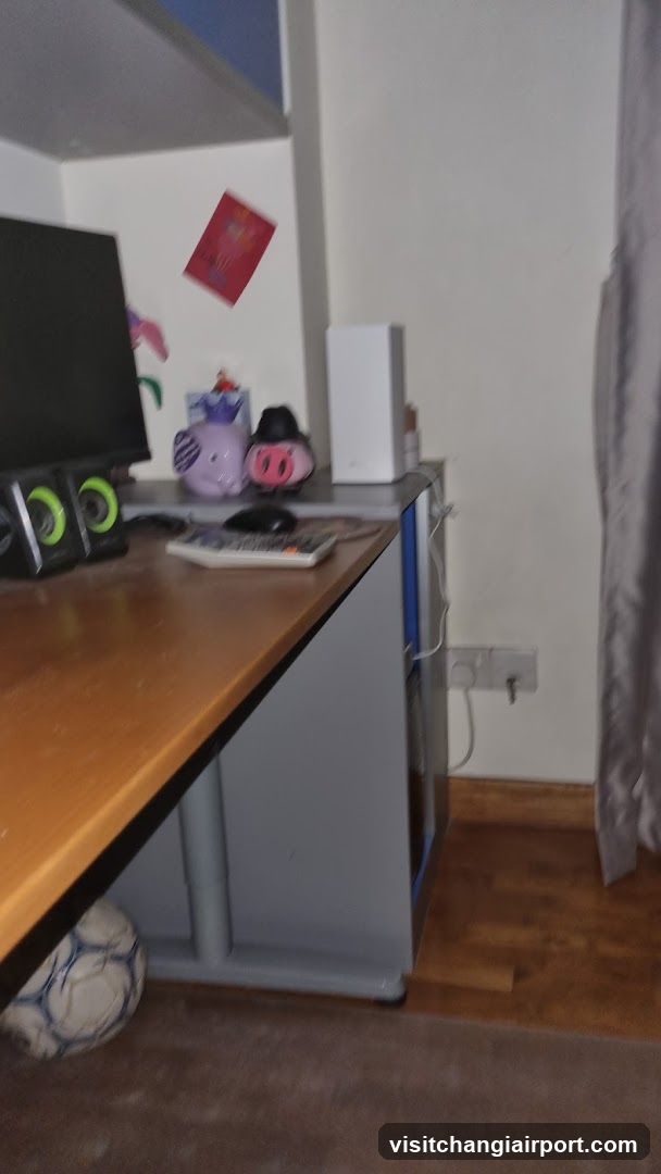 Desk Setup with Decorative Items