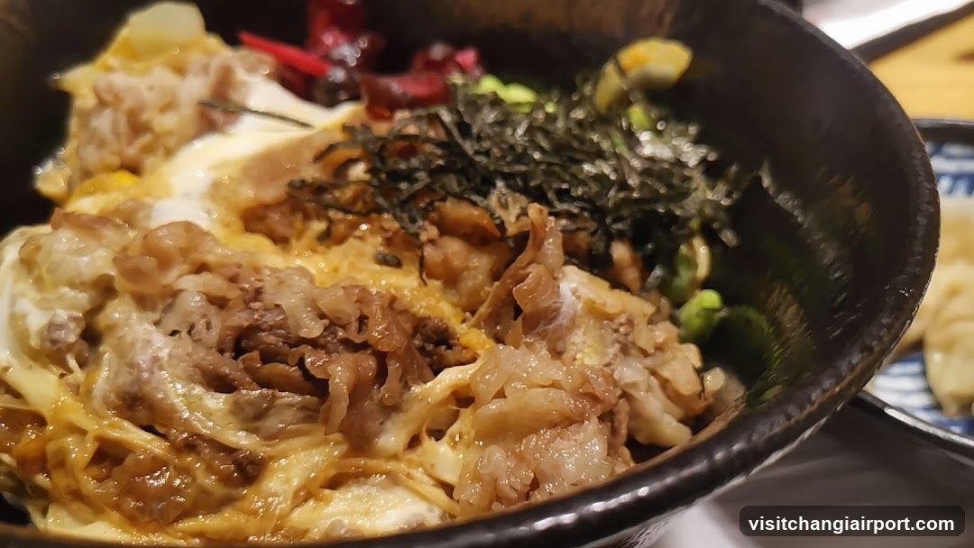 Bowl of Japanese-style rice dish with egg and meat